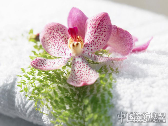 其它裝修圖片