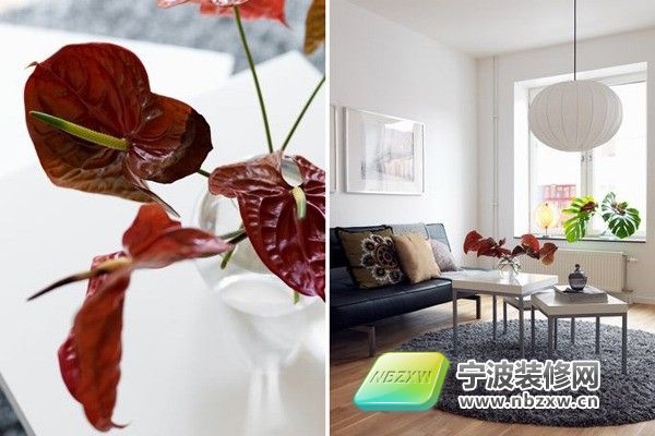 簡(jiǎn)約客廳裝修圖片